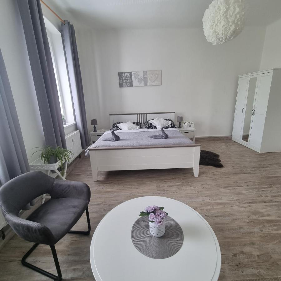 Cerny Tulipan - 4 Apartment Plzen
